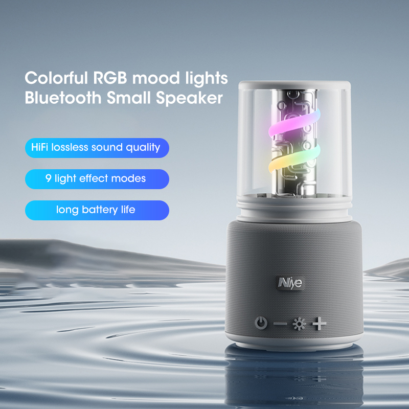 Draadloze Bluetooth 5.3 draagb - Bluetooth Speaker Waterproof recensie en prijs